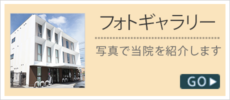 フォトギャラリー