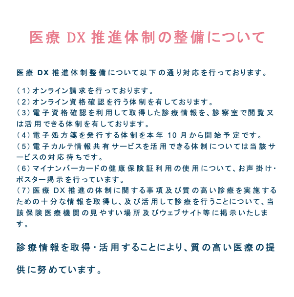 医療DX推進体制の整備について