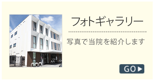 フォトギャラリー